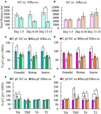 Voluntary Exercise-Induced Activation of Thyroid Axis and Reduction of White Fat Depots Is Attenuated by Chronic Stress in a Sex Dimorphic Pattern in Adult Rats